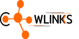 Logo W LINKS BANDA LARGA