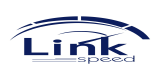 Logo Link Speed