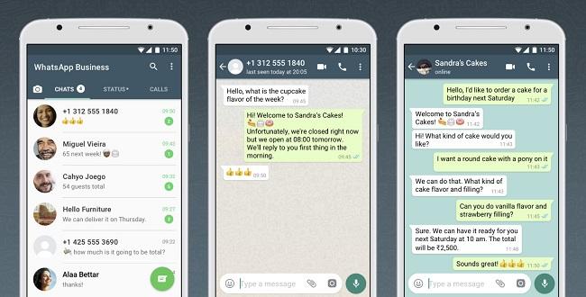 whatsapp business