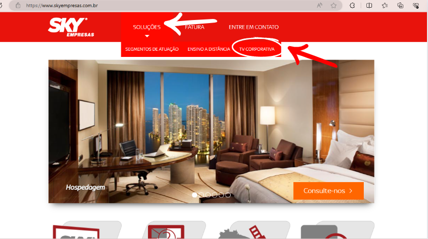 Print do site SKY Empresas na seção inicial