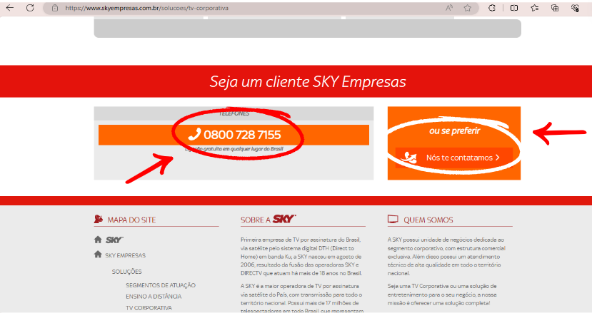 Print do site SKY Empresa na seção de contato