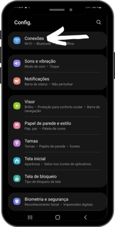 Em seguida, você deve clicar em “Conexões”, no início da página;