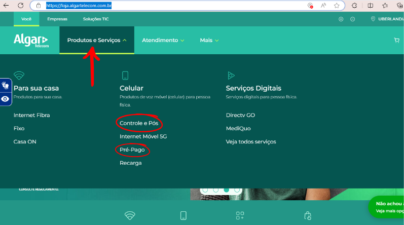 Print da seção de compra Algar Celular