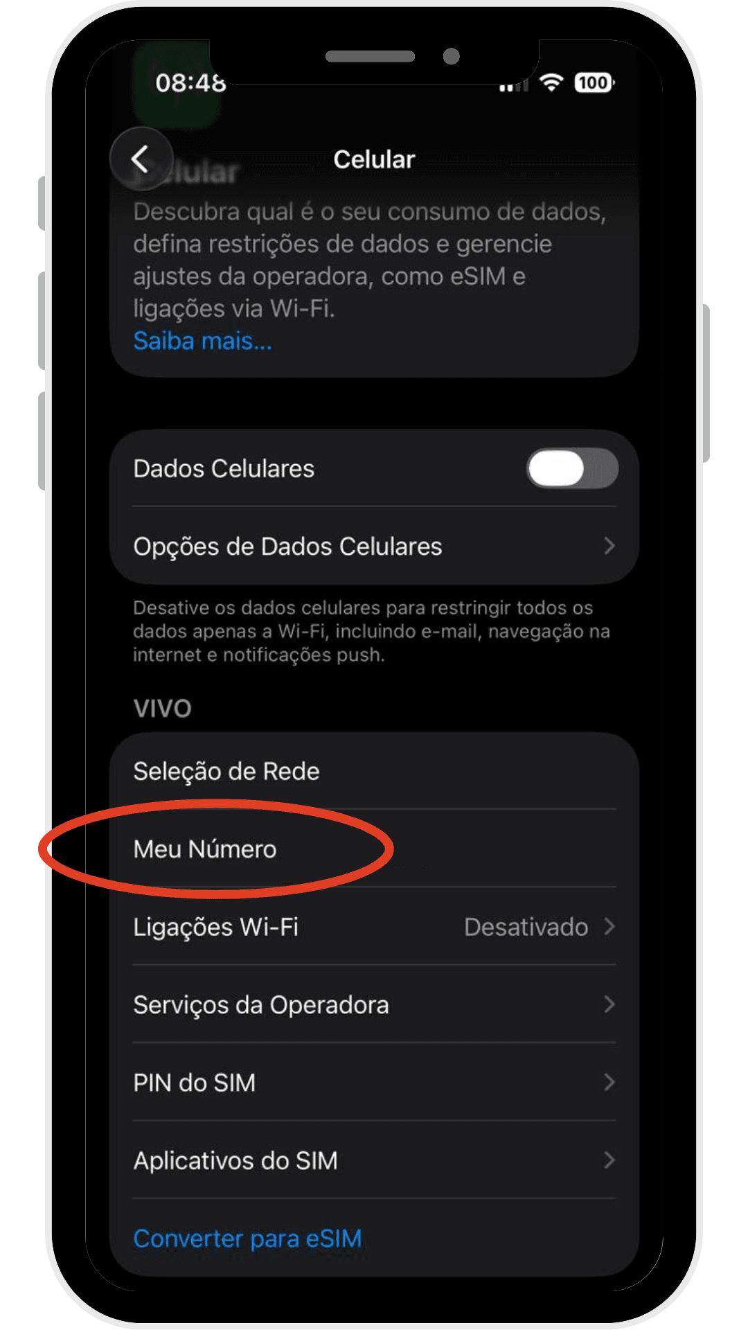Tela de configurações de Celular do iPhone mostrando a opção “Meu Número” para consultar o número Vivo.
