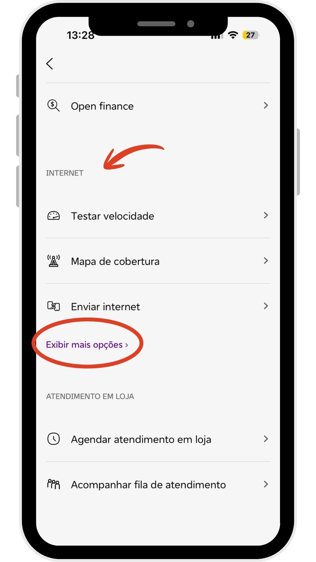 Pedir internet.jpg