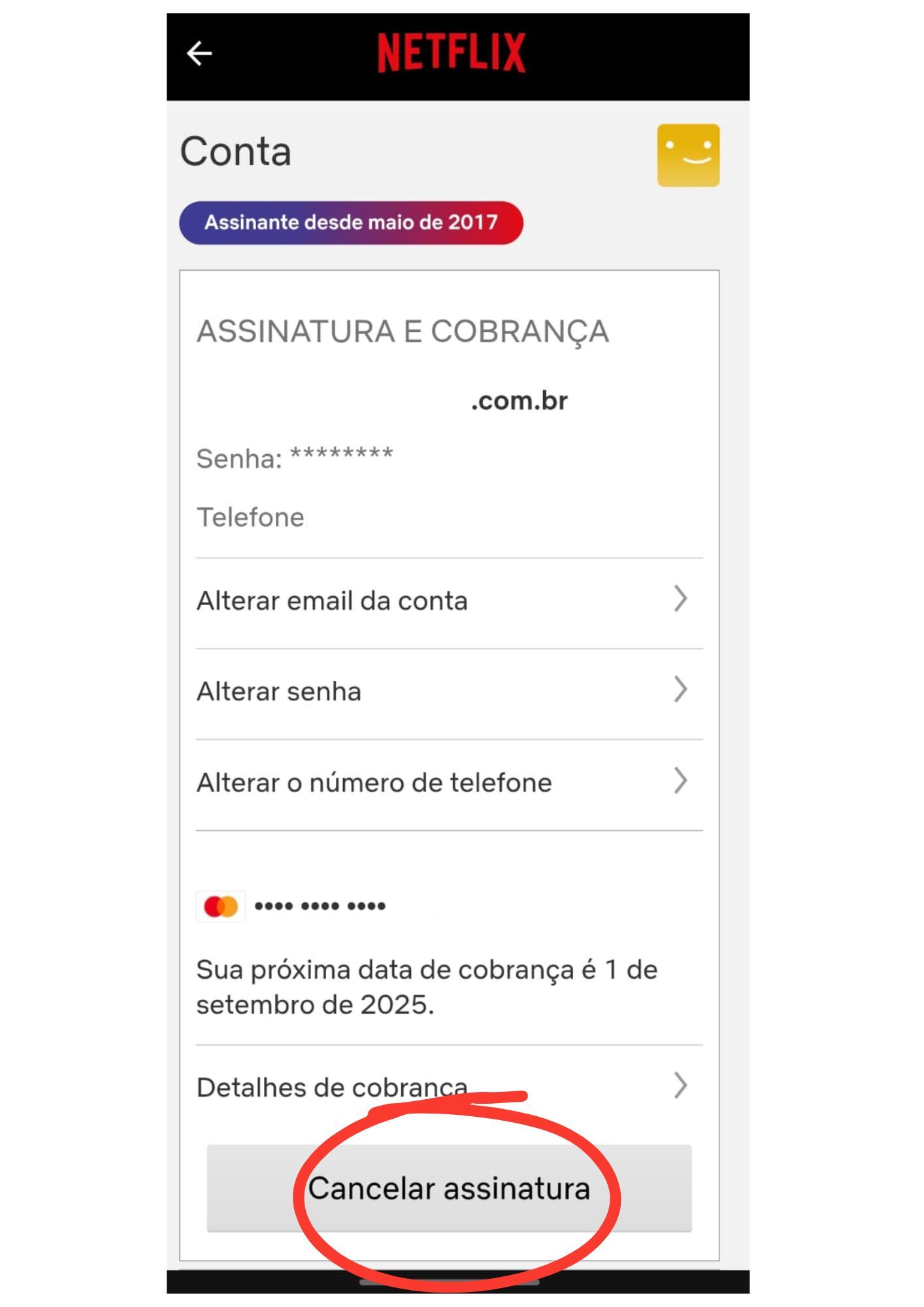 Design sem nome (5).jpg