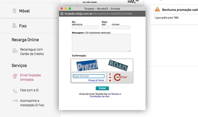 Aguarde a abertura de um pop-up e informe seus dados como o DDD, o número desejado e a mensagem em si.